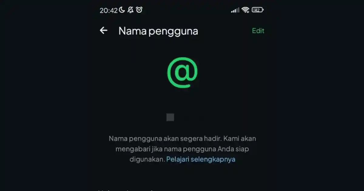 WhatsApp Kini Punya Fitur Username, Chatting Tak Perlu Sebar Nomor HP. Begini Cara Buatnya!